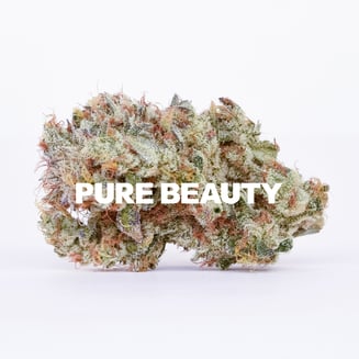 Pure Beauty — Mango Mintality