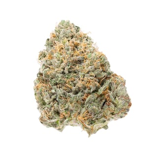 Lemon Scout by Terrapin