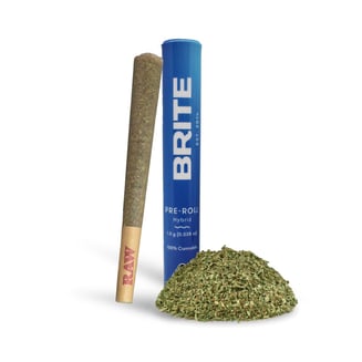 Brite — Glitter Bomb