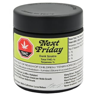 Dank Sinatra by Next Friday