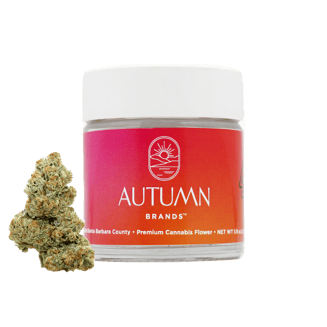 Best In Show by Autumn Brands