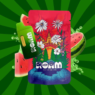 Watermelon Zlushie 1g by ROAM