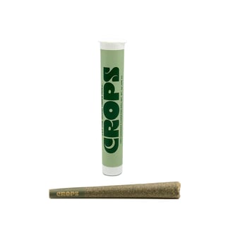 Lime OG [1g] by Crops
