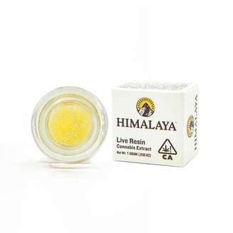 Himalaya: Cheetah Piss