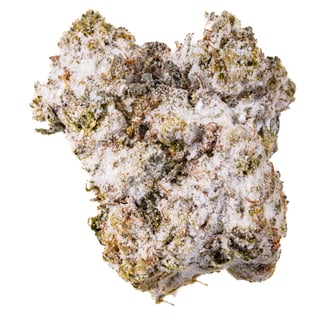 West Coast Cure: Runtz Mintz