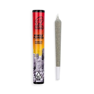 24k Gold [1g] by SF Roots
