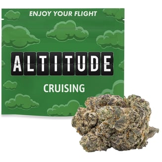 Apple Fritter by Altitude