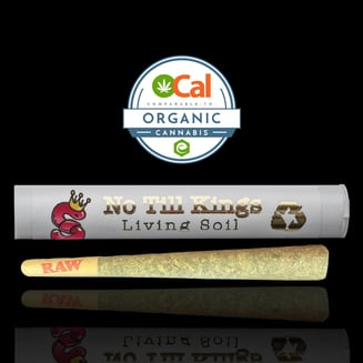 Neon Sunshine Full Flower Pre Roll (1gram) by No Till Kings