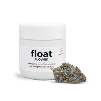Beach Crasher by Float