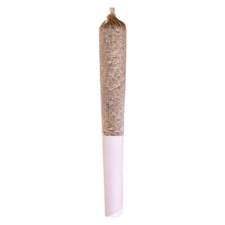 Apple Fritter [.5g] by Potluck