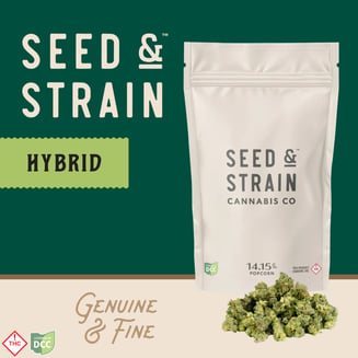 Pink Burst [14.15g] by Seed and Strain