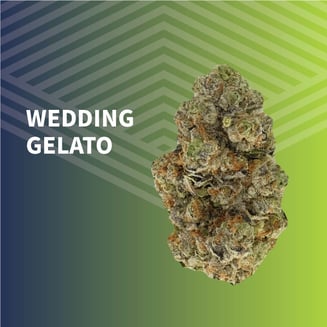 Value Wedding Gelato by Pure Dakota