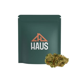 Bacio by Haus