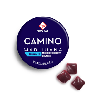 'Tranquil' Midnight Blueberry High Dose [20pk] (300mg THC/60mg CBN) by Camino