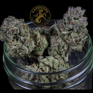 818 Headband by Kaprikorn