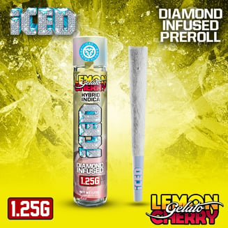 ICED — Lemon Cherry Gelato