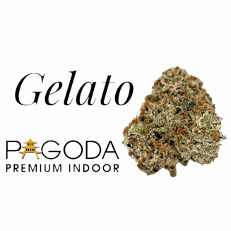 Gelato by Pagoda