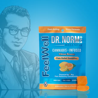 DR. NORM'S — Feelwell Citrus Breeze