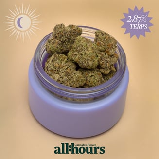 all:hours Air HDZ 4523 by all:hours