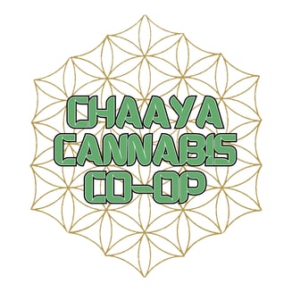 Cream Cookiez [1g] by Chaaya
