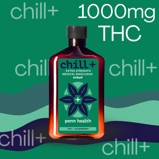 Chill Plus - Elderberry [250ml] [1000mg] by Penn Health