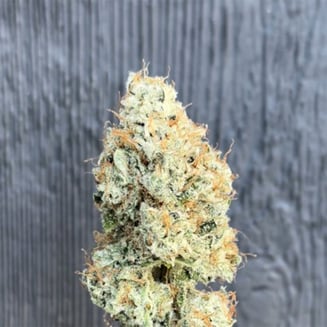 Queen Of Diamonds by Brilliant Buds