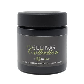 Banana Bliss by Cultivar Collection