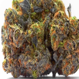 Zack's Cake by Best Daze