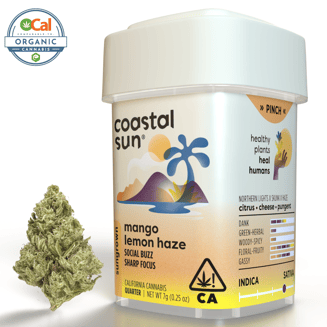 Coastal Sun — Mango Lemon Haze