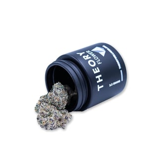 Black Jack by Theory Wellness