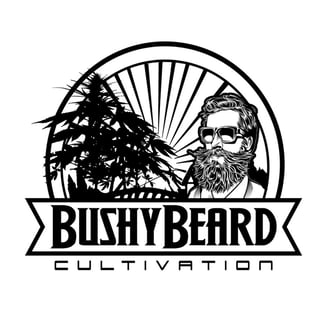 Apple Fritter by Bushy Beard