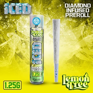 ICED — Lemon Tree