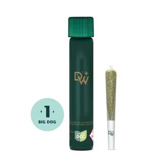 Cheddar Cheeze [.75g] by DW