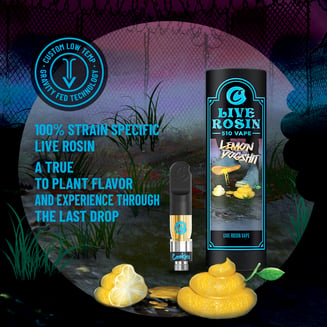 Cookies — Lemon Dog Shit
