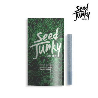 Biscotti x Sherb [1g] by Seed Junky Genetics