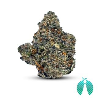 Stay Puft by Maitri Genetics