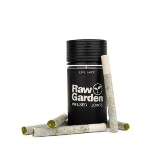 Raw Garden — Raspberry Haze