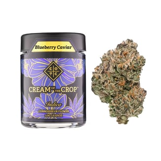 CREAM OF THE CROP — Blueberry Caviar
