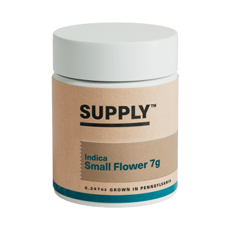 Honey Rntz by Supply™