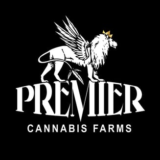 Yellow Lobster by Premier Cannabis Farms