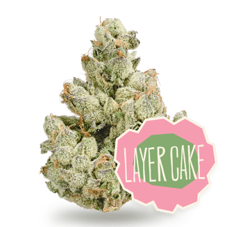 District Cannabis — Layer Cake