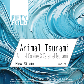 Animal Tsunami by Fifty Fold