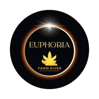 Cadillac Rainbowz by Euphoria