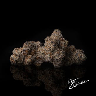 Glitter Bomb [5.66g] by (the) Essence