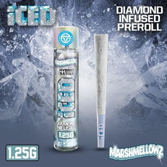 ICED — Marshmellowz