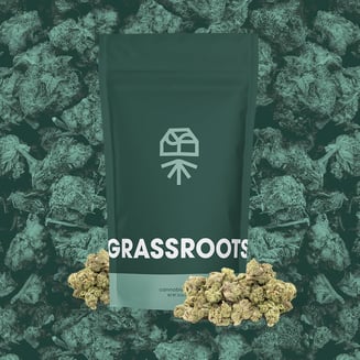 Grassroots — Orange Z