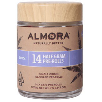 ALMORA — Mule Fuel