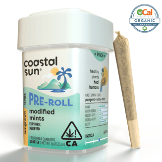 Coastal Sun: Modified Mints