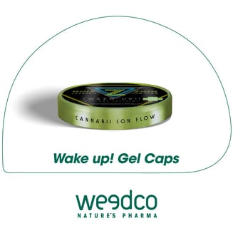 1:1 Wake Up [20pk] (100mg) by OMG! - PR