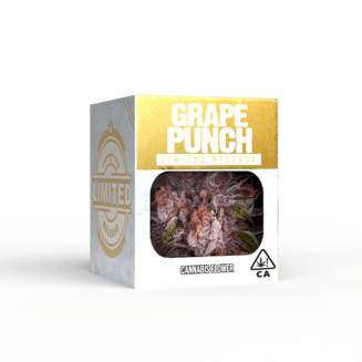 Decibel Gardens — Grape Punch